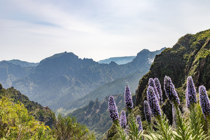 gesundheitsreise madeira 1